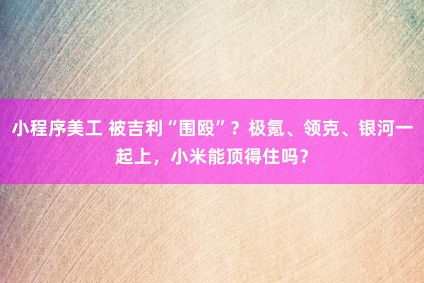 小程序美工 被吉利“围殴”？极氪、领克、银河一起上，小米能顶得住吗？