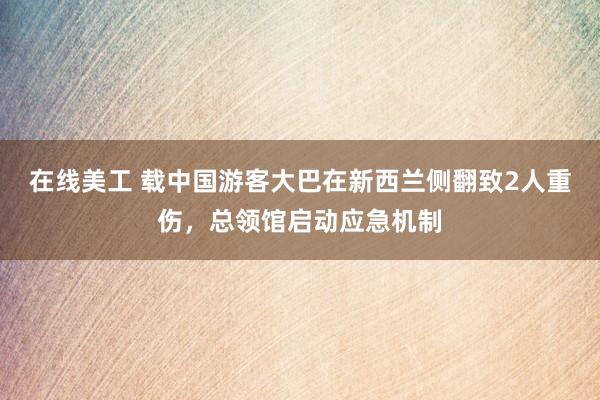 在线美工 载中国游客大巴在新西兰侧翻致2人重伤，总领馆启动应急机制