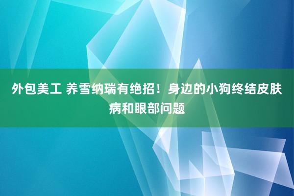 外包美工 养雪纳瑞有绝招！身边的小狗终结皮肤病和眼部问题