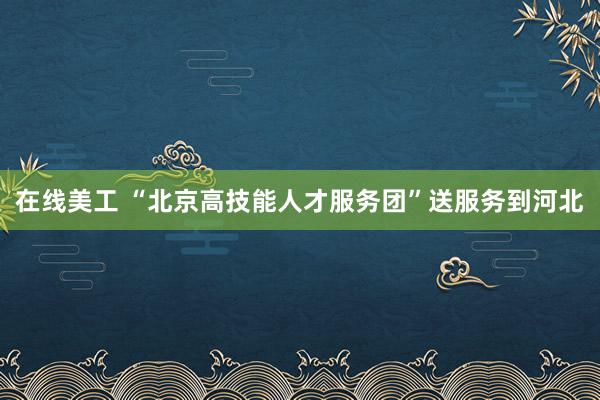 在线美工 “北京高技能人才服务团”送服务到河北